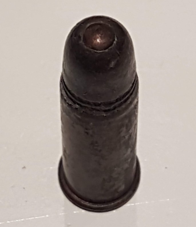 ./ammo/12x44R/patroner/Patron-12x44R-blykule-express-sivil-2.JPG