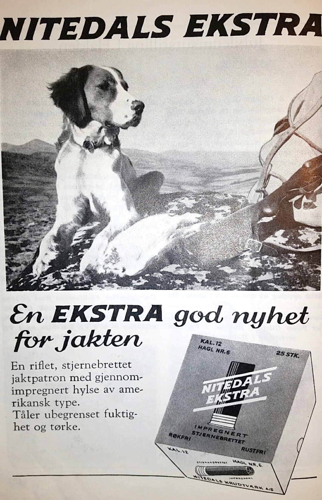./ammo/hagle/dokumenter/Dokument-Hagle-Nitedals-Ekstra-Reklame-JFF-1958-1.jpg