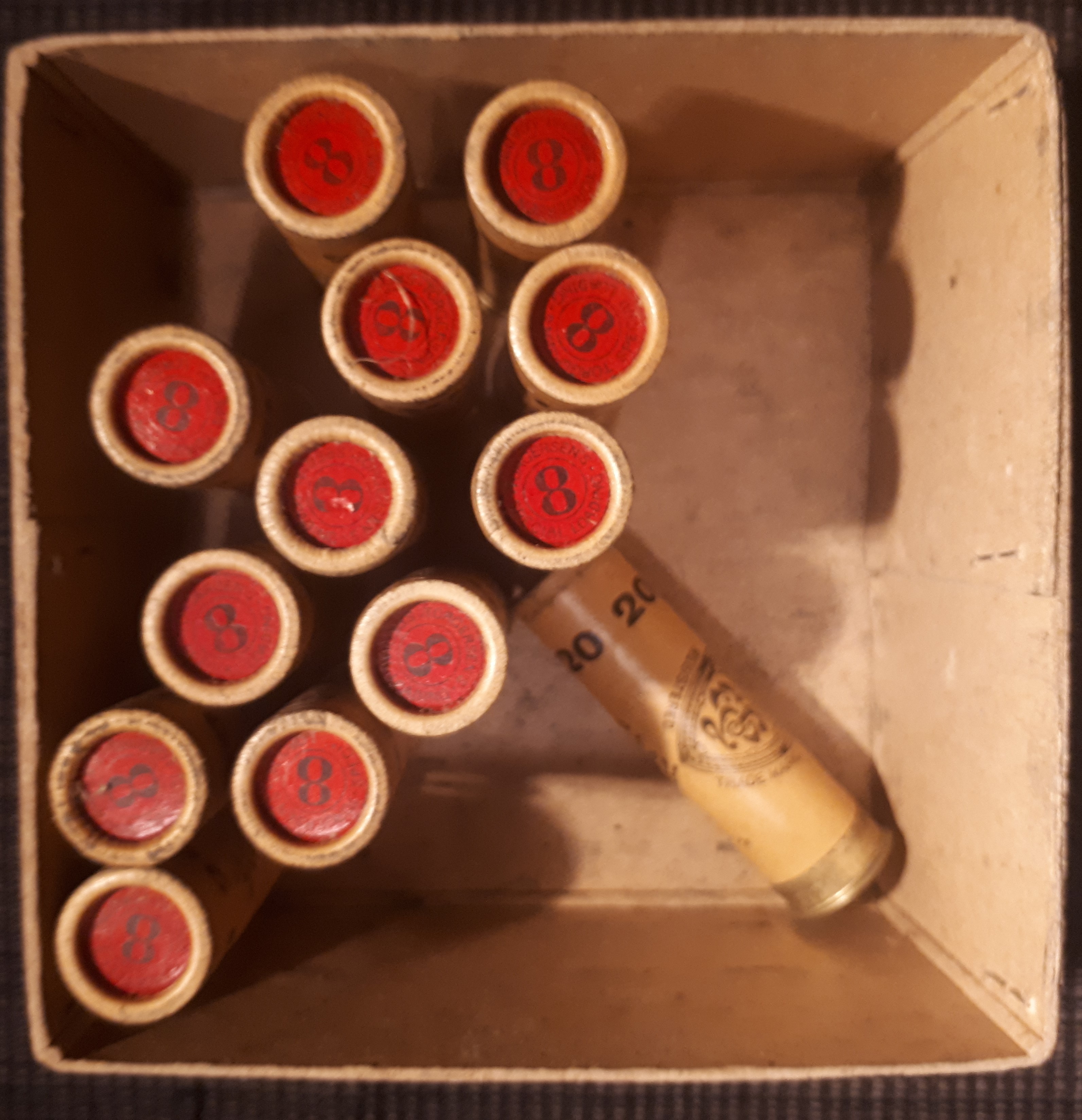 ./ammo/hagle/esker/Eske-Hagle-Torgersen-Sortkrudt-20-65-Nr8-25skudd-5.jpg